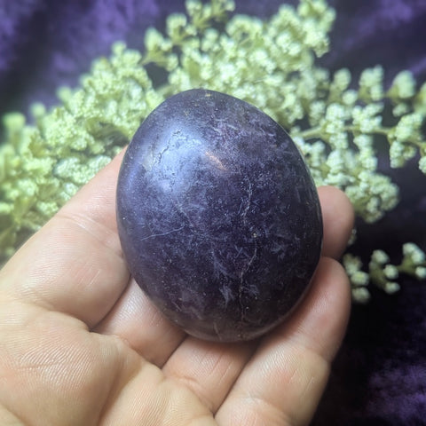 Lepidolite Palm Stone~CRLEPP14