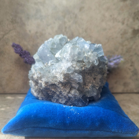 Celestite Geode~CRCELEG1