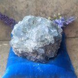 Celestite Geode~CRCELEG1