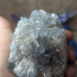 Celestite Geode~CRCELEG1