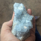 Celestite Geode~CRCELEG2