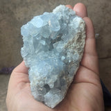 Celestite Geode~CRCELEG2