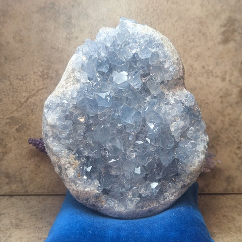 Celestite Geode~CRCELEG4
