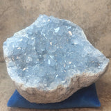 Celestite Geode~CRCELEG5