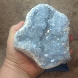 Celestite Geode~CRCELEG5