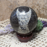 Orthoceras Fossil Sphere~CRFORTH1