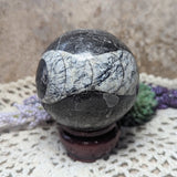 Orthoceras Fossil Sphere~CRFORTH1