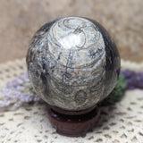 Orthoceras Fossil Sphere~CRFORTH2