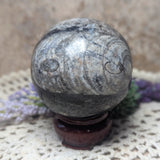 Orthoceras Fossil Sphere~CRFORTH2