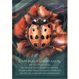 Spirit of the Animals Oracle~ Jody Bergsma