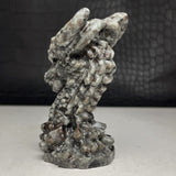 Emberlite Dragon Carving~CREDRAGO