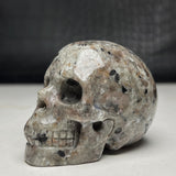 Emberlite Skull~CRESKULL