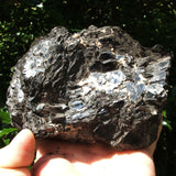 Biotite