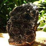 Biotite