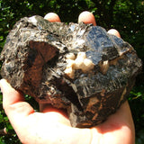 Biotite