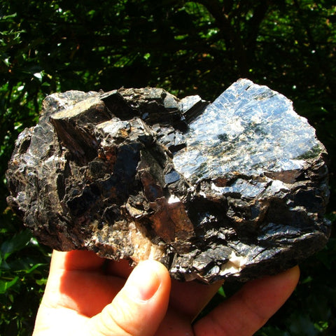 Biotite