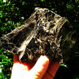 Biotite