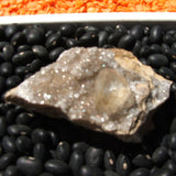 Calcite Crystals on Quartz