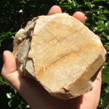 Orthoclase (Feldspar) Crystal with Mica- CRFSCR