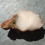 Hemimorphite CRHEMI02