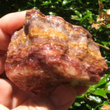Bacon Opal