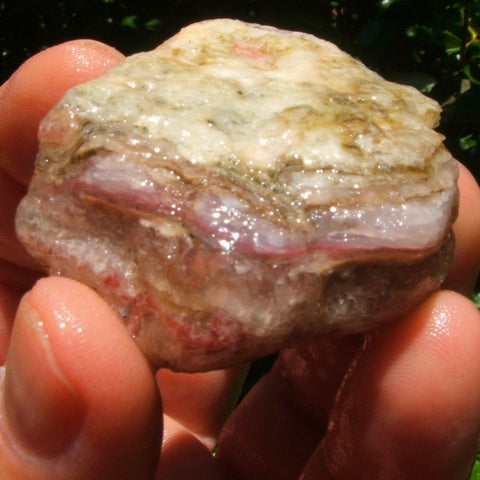 Bacon Opal