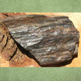 Petrified Wood CRPWPOL