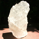 Large Selenite Standing Crystal CRSEST01