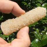 Quartz on Chalcedony Stalactites- CRSQIN07