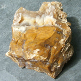 Savannah River Agate CRSRA03