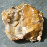 Savannah River Agate CRSRA03