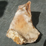 Savannah River Agate CRSRA08