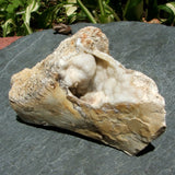 Savannah River Agate CRSRA12