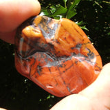 Yellow/Red Feather Jasper-Polished TUMYFJ01