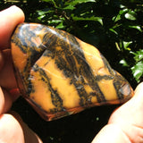 Yellow/Red Feather Jasper-Polished TUMYFJ01