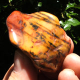 Yellow/Red Feather Jasper-Polished TUMYFJ01