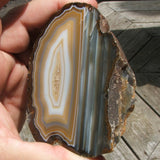 Agate Geode Halves