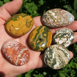 Ocean Jasper Palm Stone~ Madagascar CROCJAPS