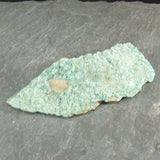 Chrysocolla Natural Specimen