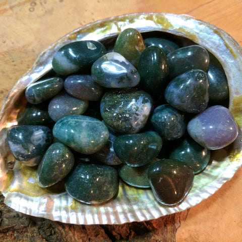 Tumbled Moss Agate~TUMAGMS