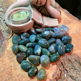 Tumbled Moss Agate~TUMAGMS