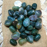 Tumbled Moss Agate~TUMAGMS