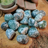 Tumbled Tree Agate~TUMAGTR