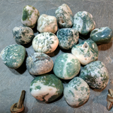 Tumbled Tree Agate~TUMAGTR