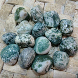 Tumbled Tree Agate~TUMAGTR