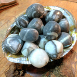 Tumbled Shell Marble~TUMSHMA