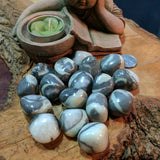 Tumbled Shell Marble~TUMSHMA