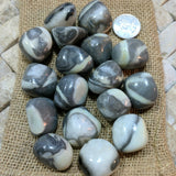 Tumbled Shell Marble~TUMSHMA