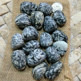 Tumbled Pinolite (Pinolith)~TUMPINO