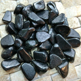 Tumbled Shungite~TUMSHGT